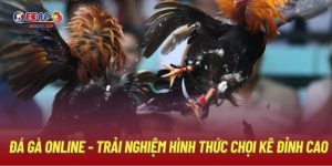 đá gà trực tuyến