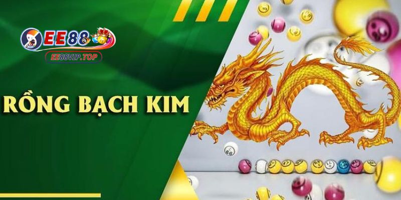 Soi cầu rồng bạch kim